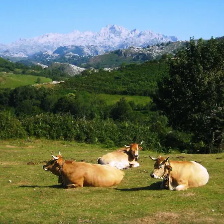 Aptos. Rurales Los Falares De La Abuela Berta (Adults Only) * Nieda